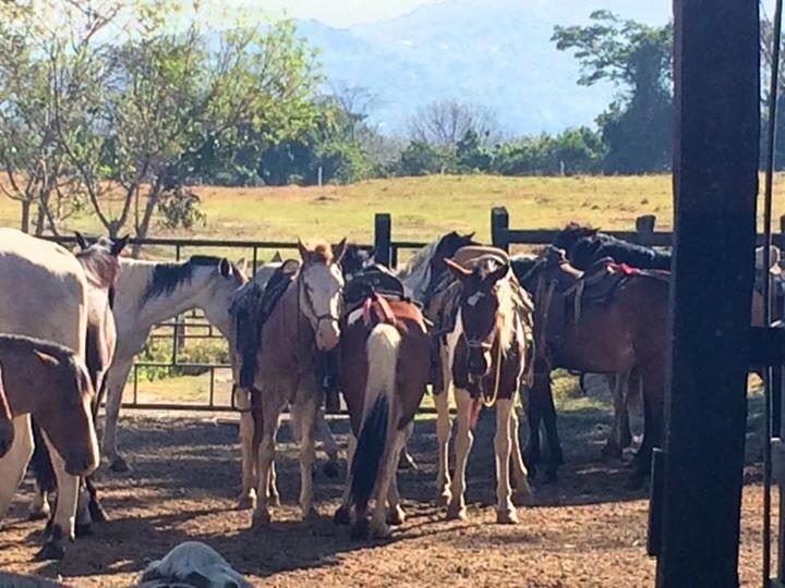 Hotel Hacienda El Rodeo Vueltas Kültér fotó