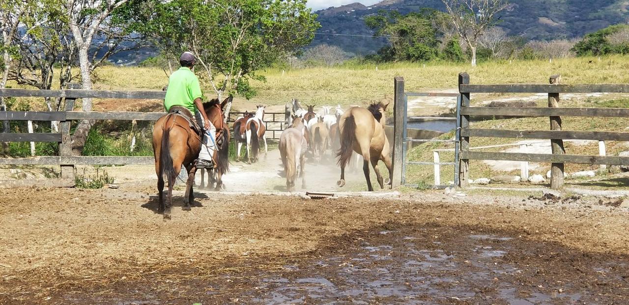 Hotel Hacienda El Rodeo Vueltas Kültér fotó